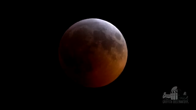 Lunar Eclipse 2019