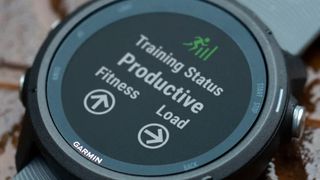 Garmin Forerunner 245 watch face