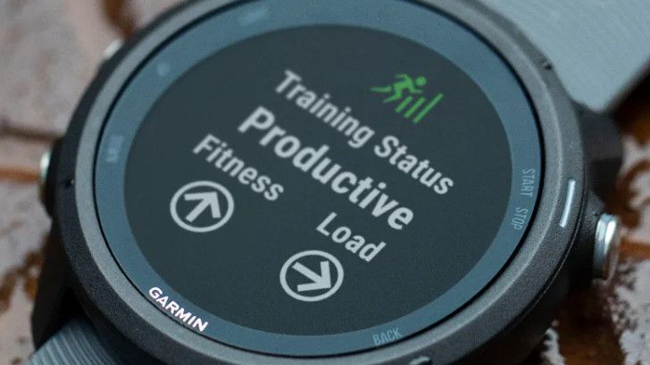 Garmin Forerunner 245 watch face