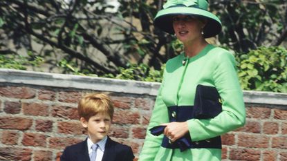 Prince Harry, Princess Diana