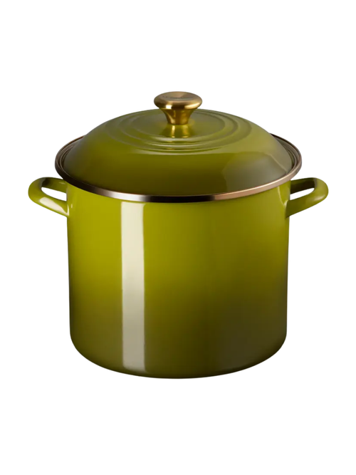 Enameled Stainless Steel Stockpot