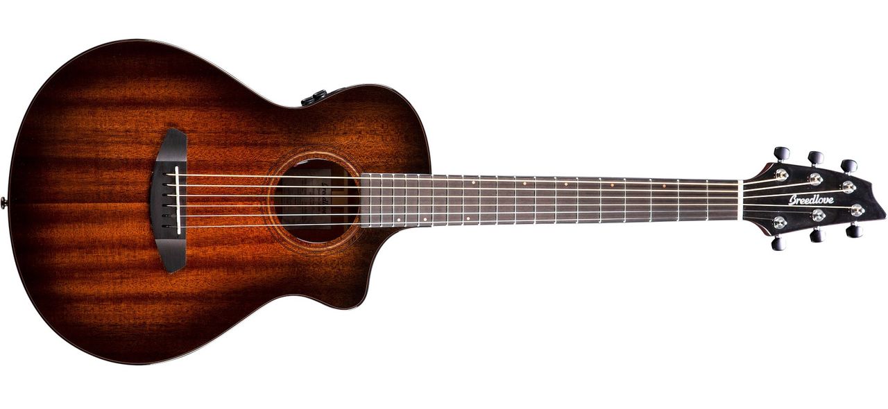 Breedlove's Wildwood Pro Series Companion Suede CE guitar