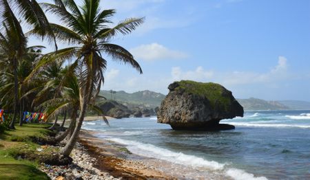 bathsheba_beach_east_coast_1.jpg