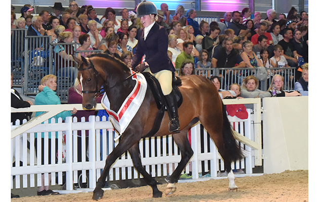 Equifest 2018