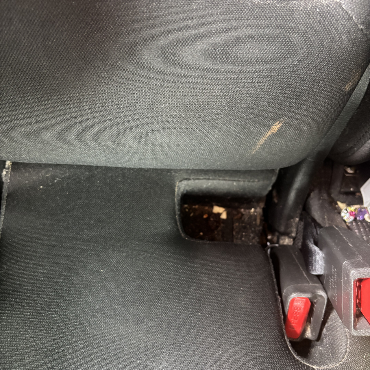car interiors before using Shark PowerBoost Pet