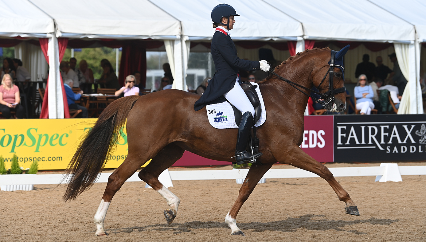 Anna Ross dressage training