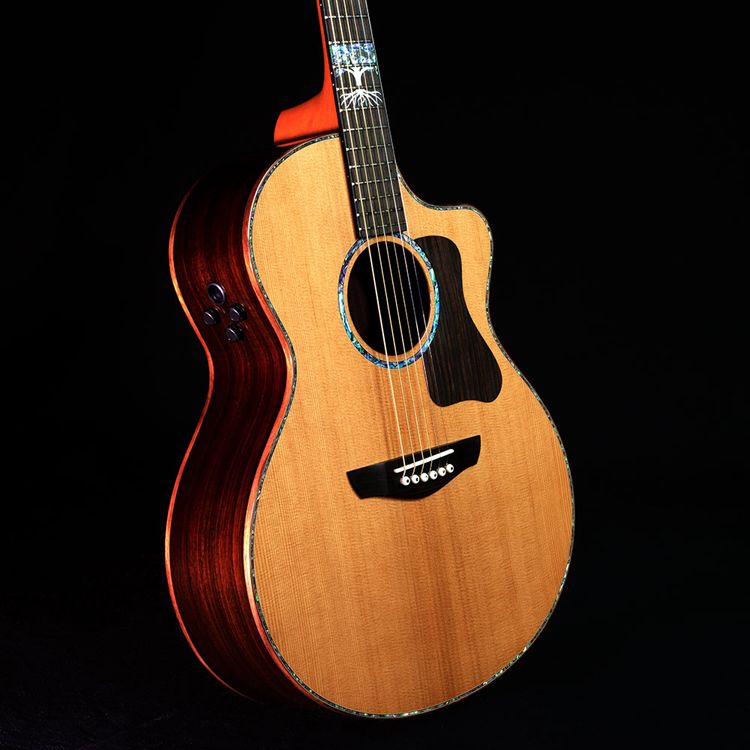 Faith Guitars The Twenty Legacy guitars