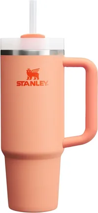 Stanley  Quencher H2.0 Tumbler (30 oz)