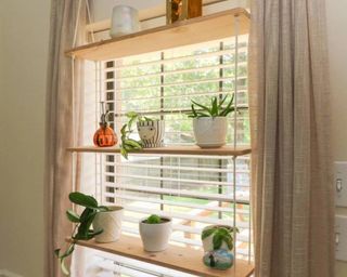 Window with wooden shelves holding plants