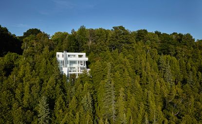 White house in the middle of green forest