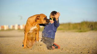 Small boy with boxer on beach