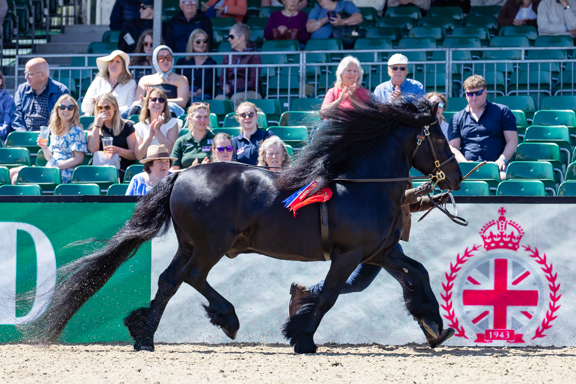 RWHS_H&amp;amp;H In Hand Supreme_-26