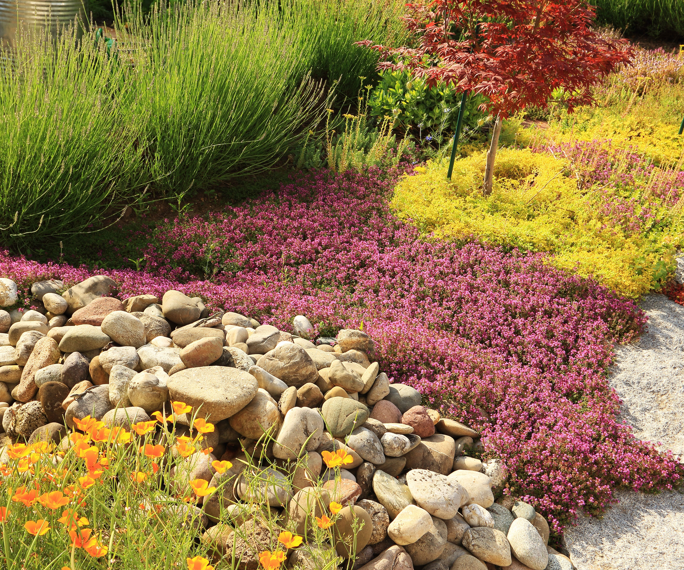 curved garden displays in raised beds