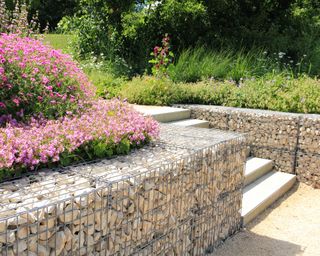 gabion wall with pink flowers