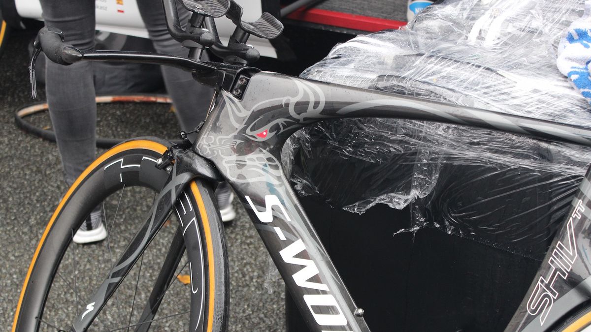 Tony Martin's custom painted S-Works Shiv
