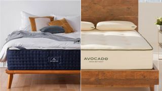 Memory foam vs latex foam hybrid mattress image shows The DreamCloud Hybrid Mattress and Avocado Green Mattress side by side