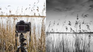 landscape photography tips