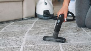 person using steam cleaner on a rug in the living room