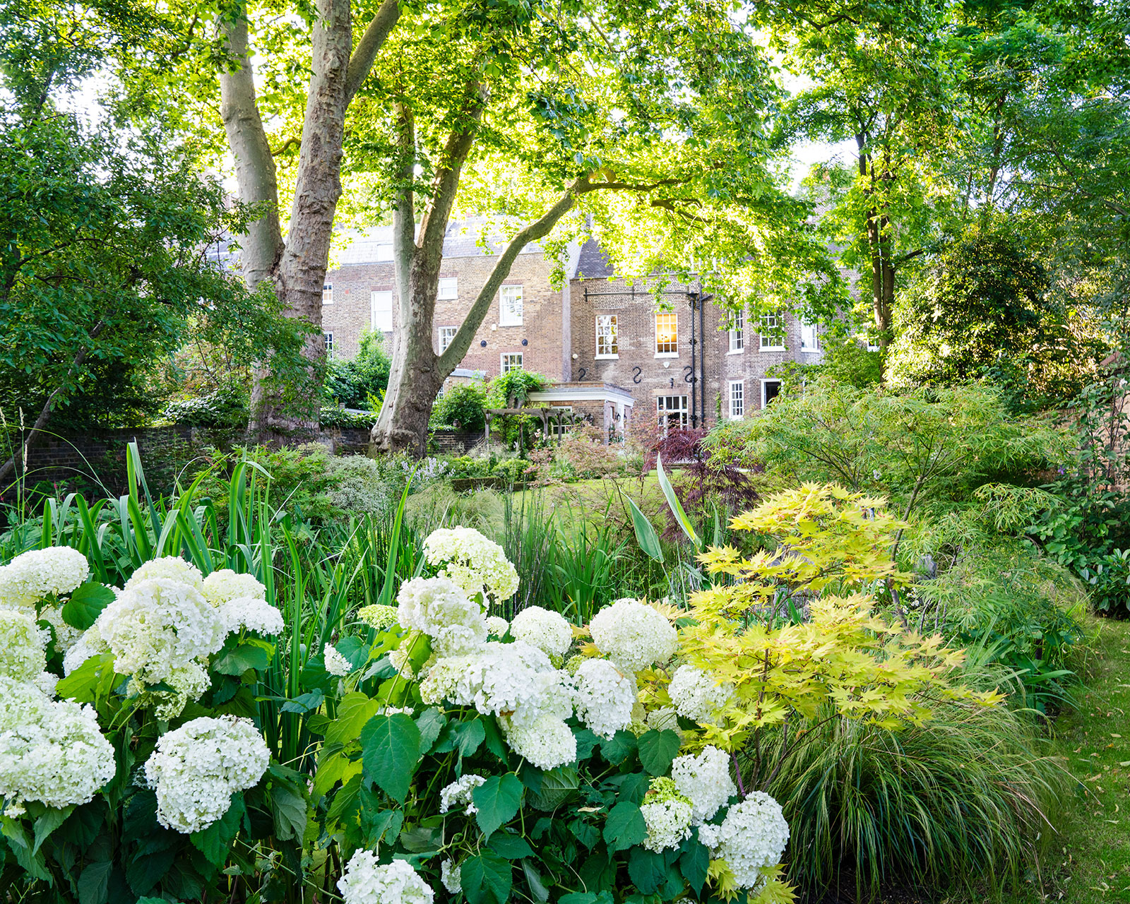 hydrangeas and shrubs planted in a city garden
