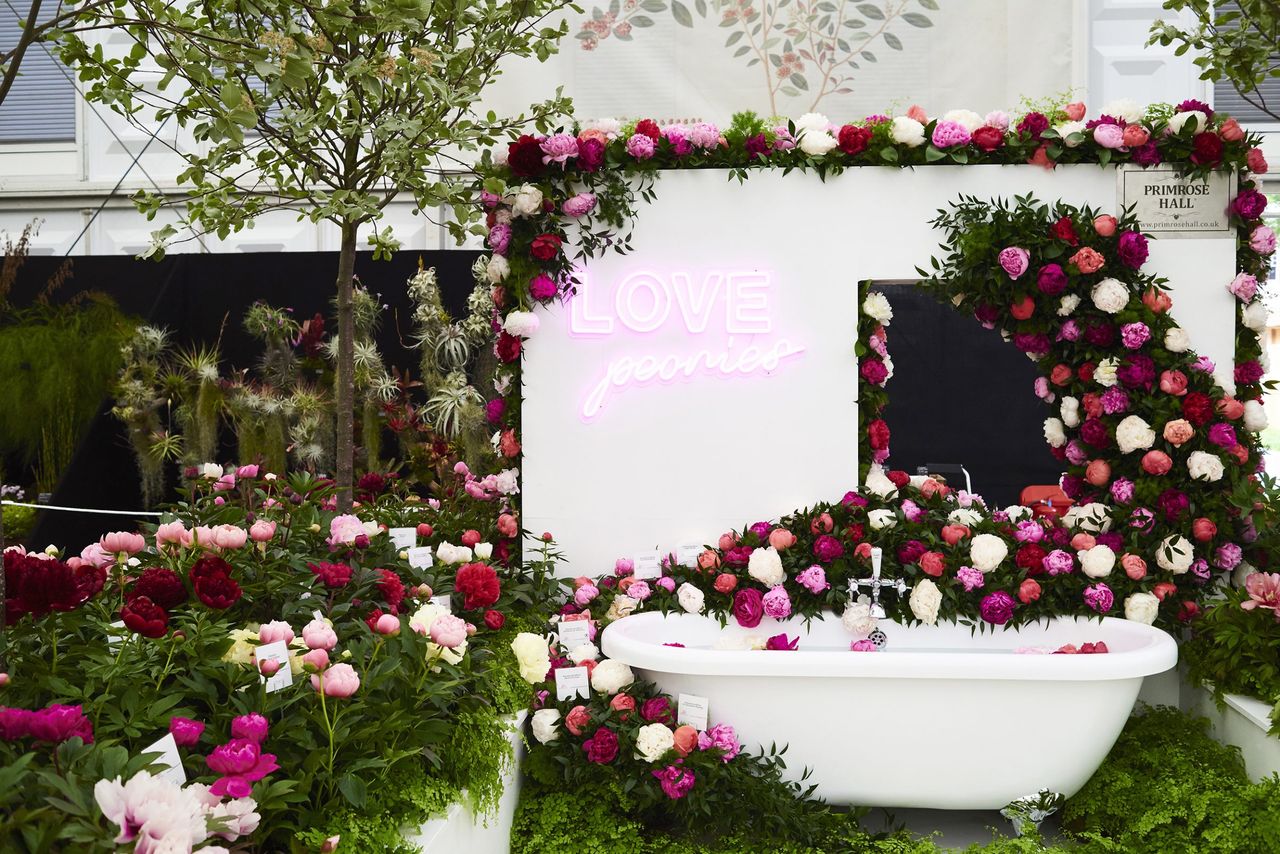 A bathtub surrounded by peonies with a neon sign on the wall? It can only be the Chelsea Flower Show... Charlie Hopkinson/Country Life