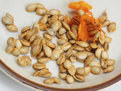 Plate Full Of Pumpkin Seeds