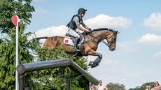 Burghley-HT-XC-2018-200_230493121_256006301.jpg