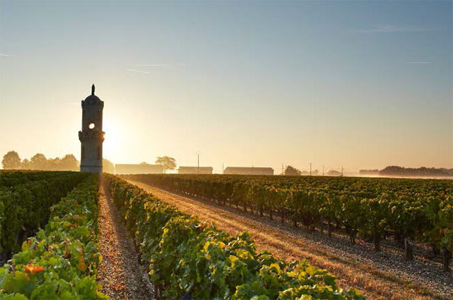 Ch&amp;acirc;teau Haut-Batailley vineyards, bordeaux