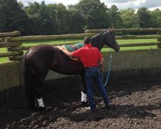 hannahbiggsfilly-e1441723825106.jpg