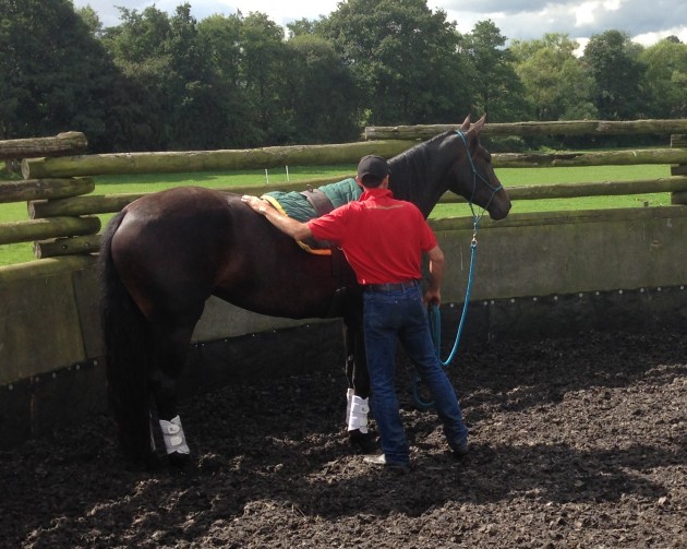 hannahbiggsfilly-e1441723825106.jpg
