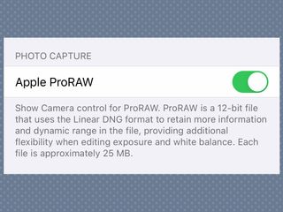 iPhone 12 features to enable Apple ProRAW