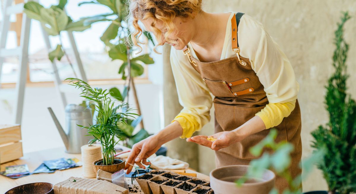 Woman sowing seeds in a greenhouse