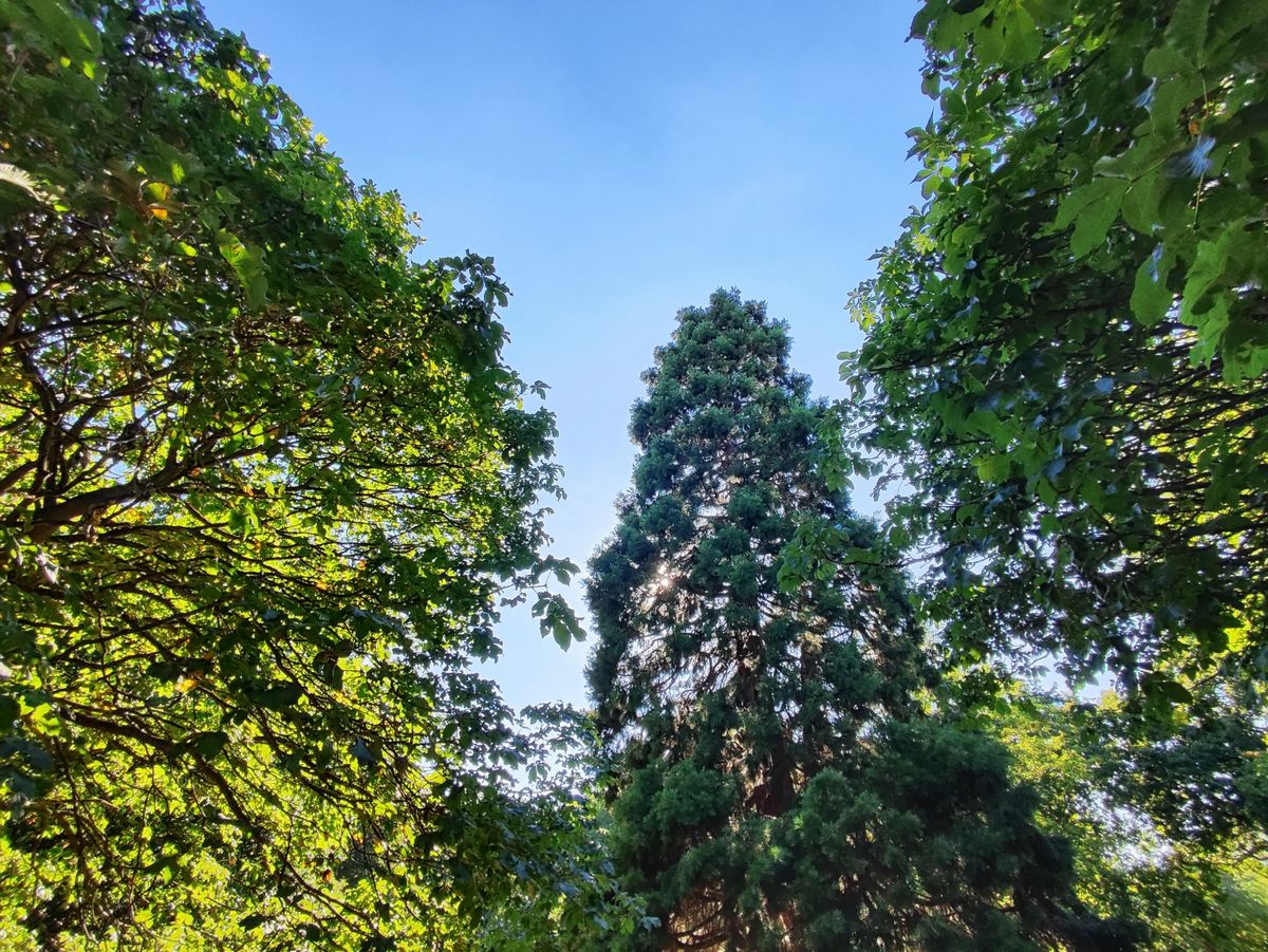 Photo taken on Xiaomi 12 Lite smartphone