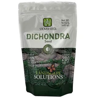 Packet of dichondra seed