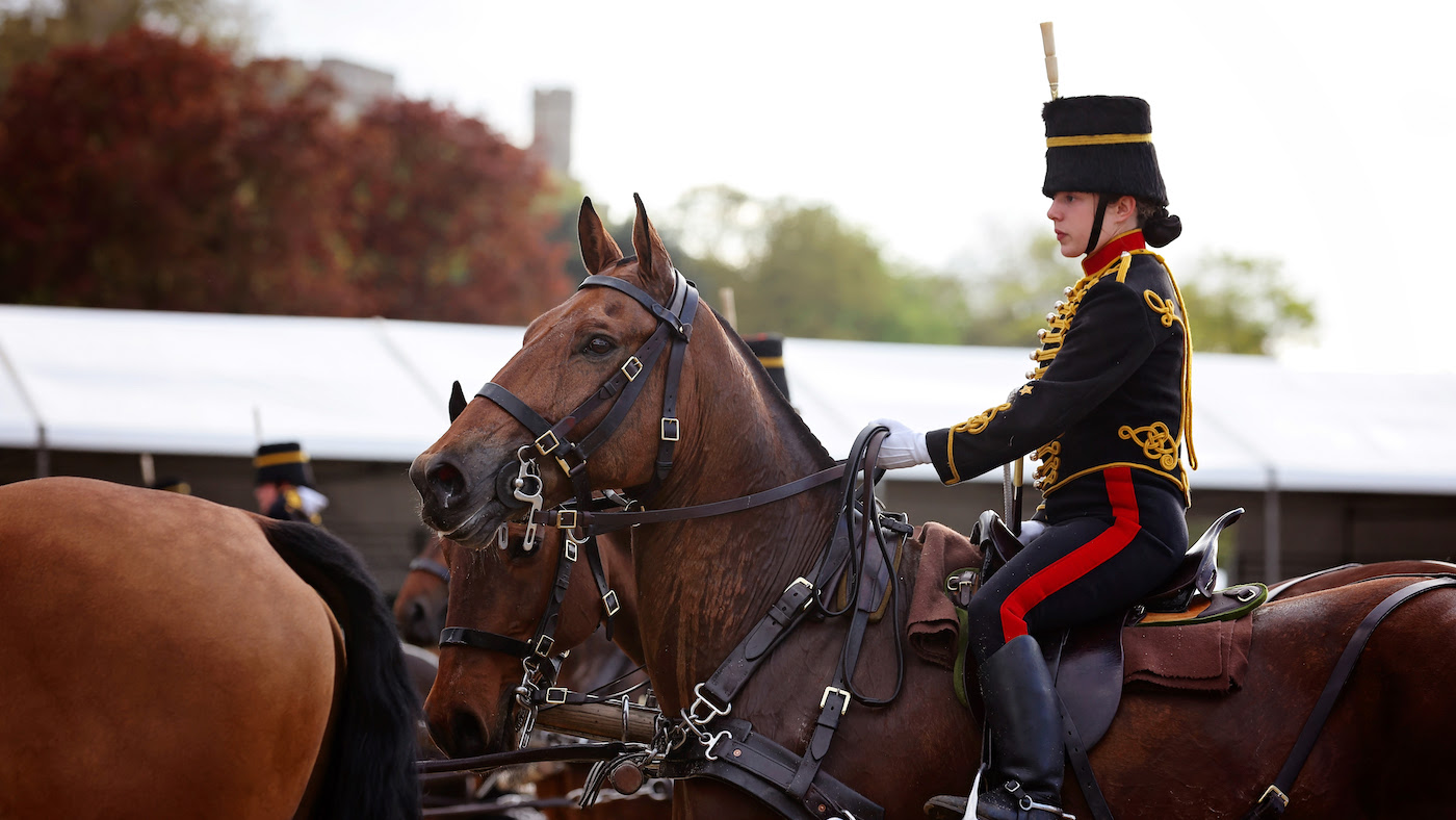 The King's Troop