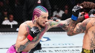 Sean O'Malley, sporting an outlandish rainbow-colored braided hairstyle, punches out ahead of the UFC 306 live stream 