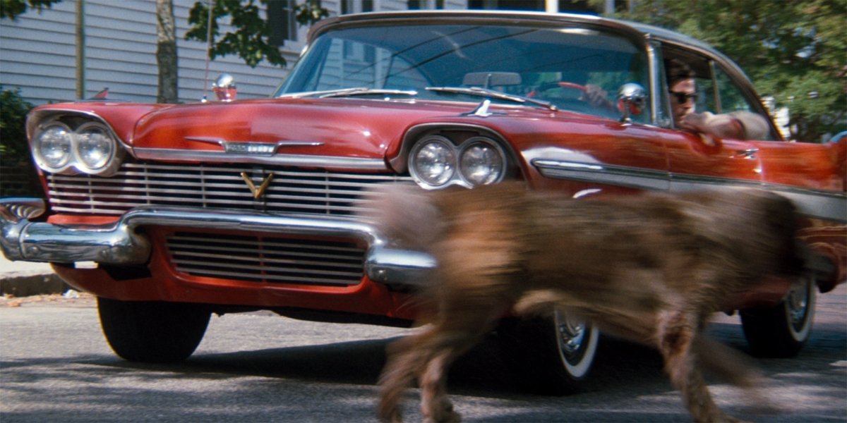Cujo runs past Christine in Cat's Eye