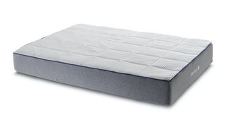 Image shows the Nectar Memory Foam mattress with grey base and white cover