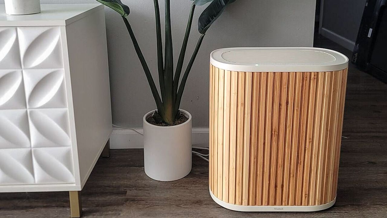 Windmill Air Purifier next to white potted plant