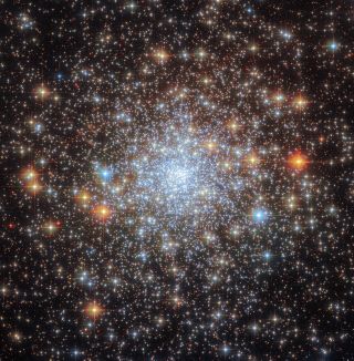 A dazzling array of stars fills the black backdrop of space, so much so that there are more stars than black. They vary in size and depth, with shooting crosshair diffraction spikes visible on the larger stars.