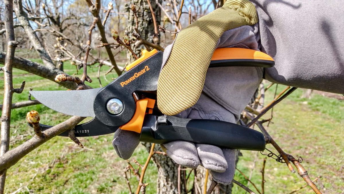 Best Pruning Shears: