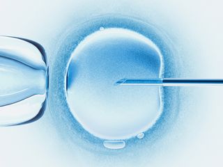 The genetically-modified human twins were reportedly conceived through in vitro fertilization.