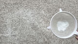 Sieve sprinkling baking soda on carpet