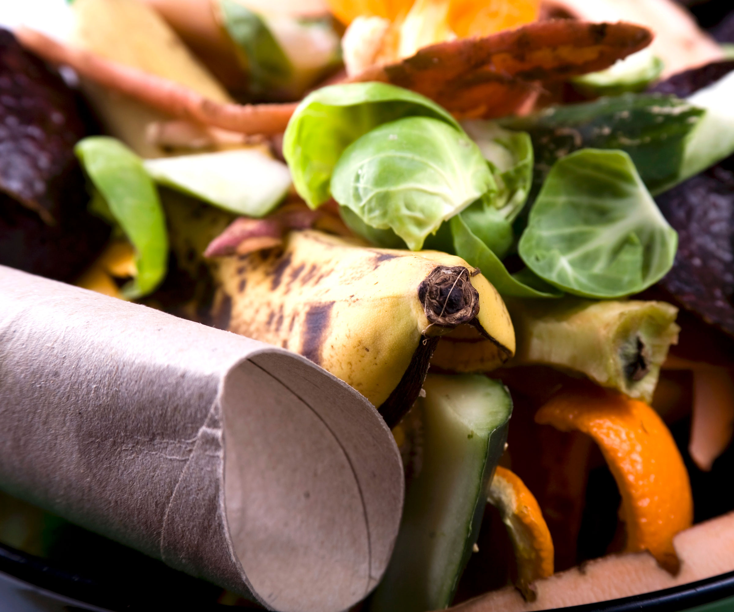 cardboard tubes on compost pile with veg and fruit scraps