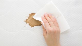 A hand holds a piece of dry cloth over a dark brown stain on a mattress, ready to blot away the stain.