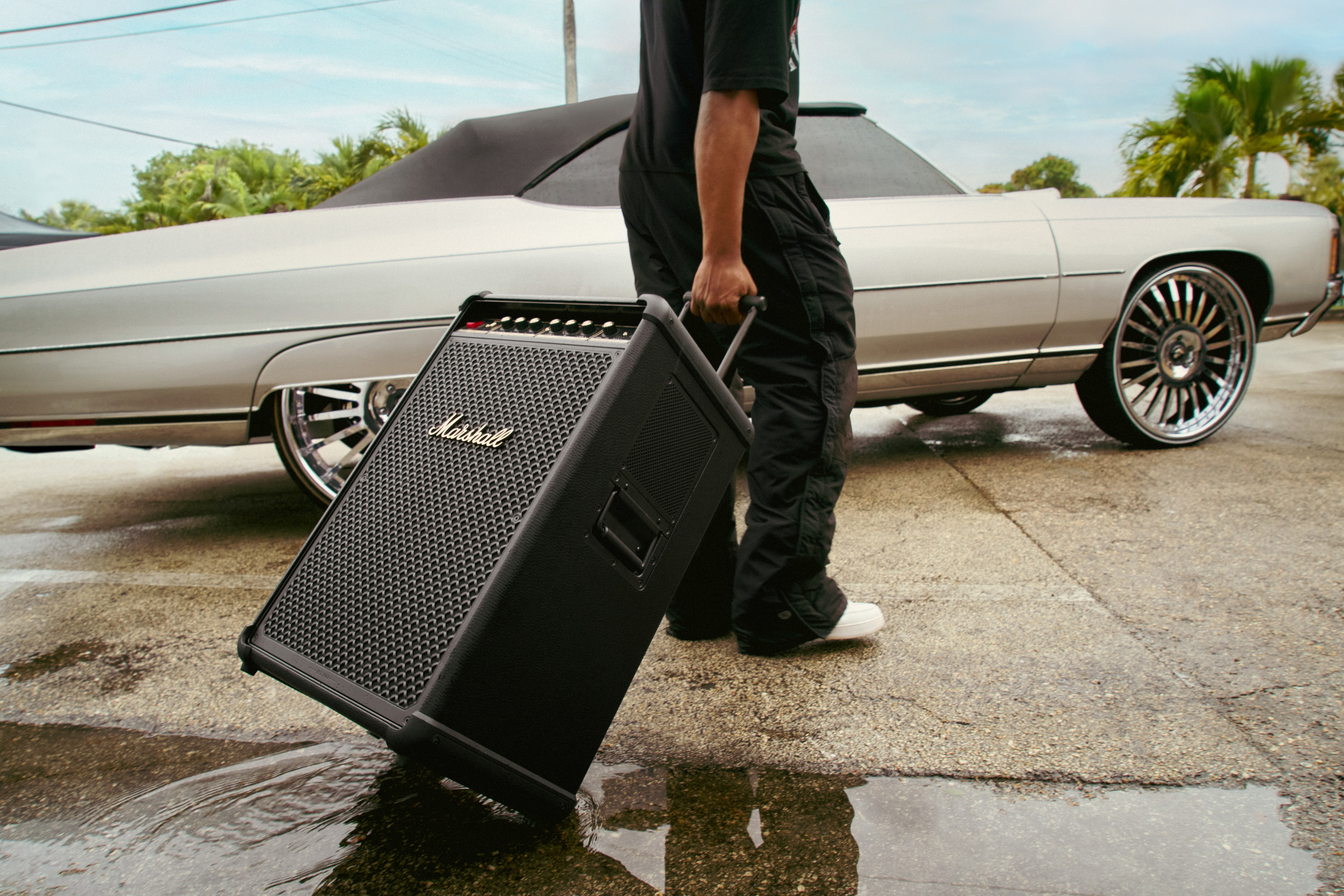 Marshall Bromley 750 Party Speaker