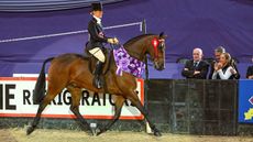 MANHATTEN_HOYS_PN24_171632.jpg