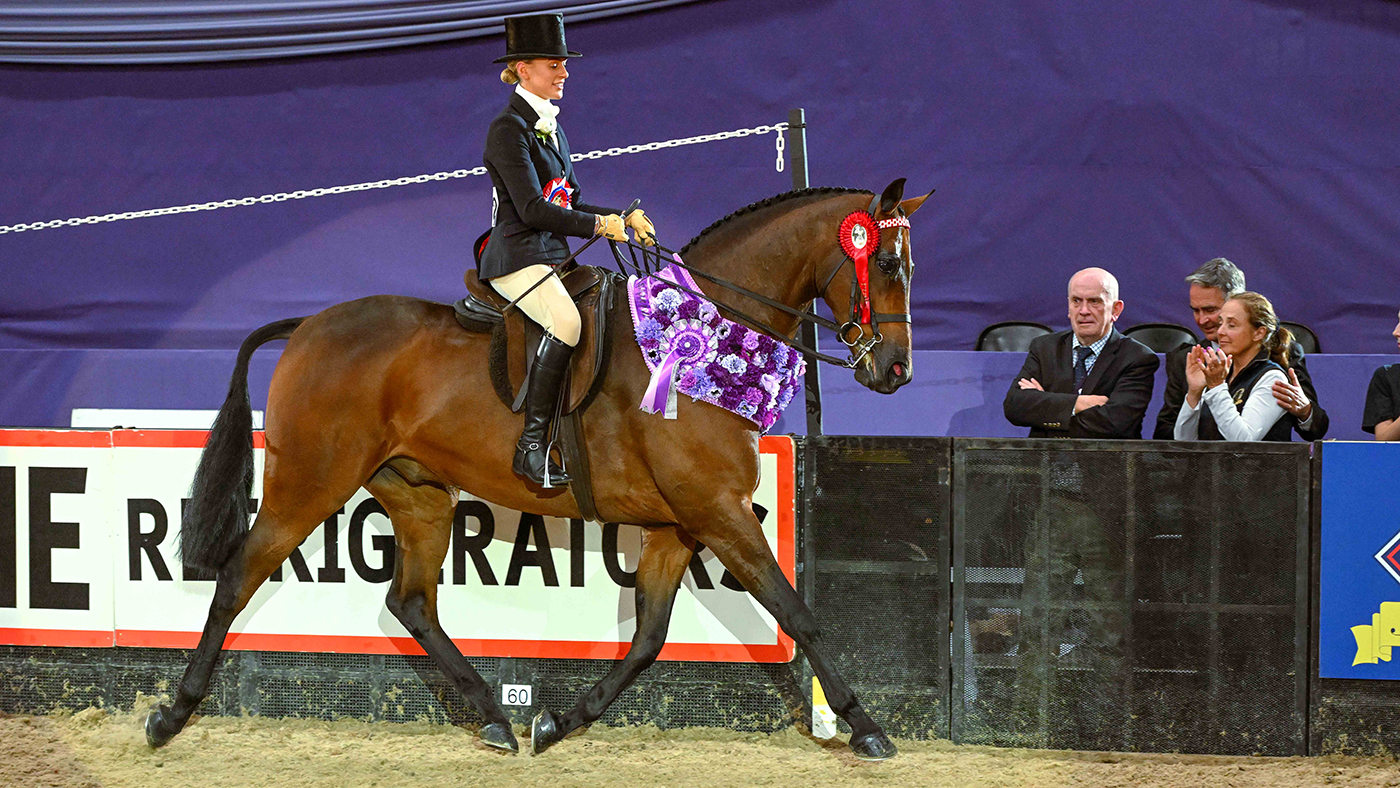 MANHATTEN_HOYS_PN24_171632.jpg