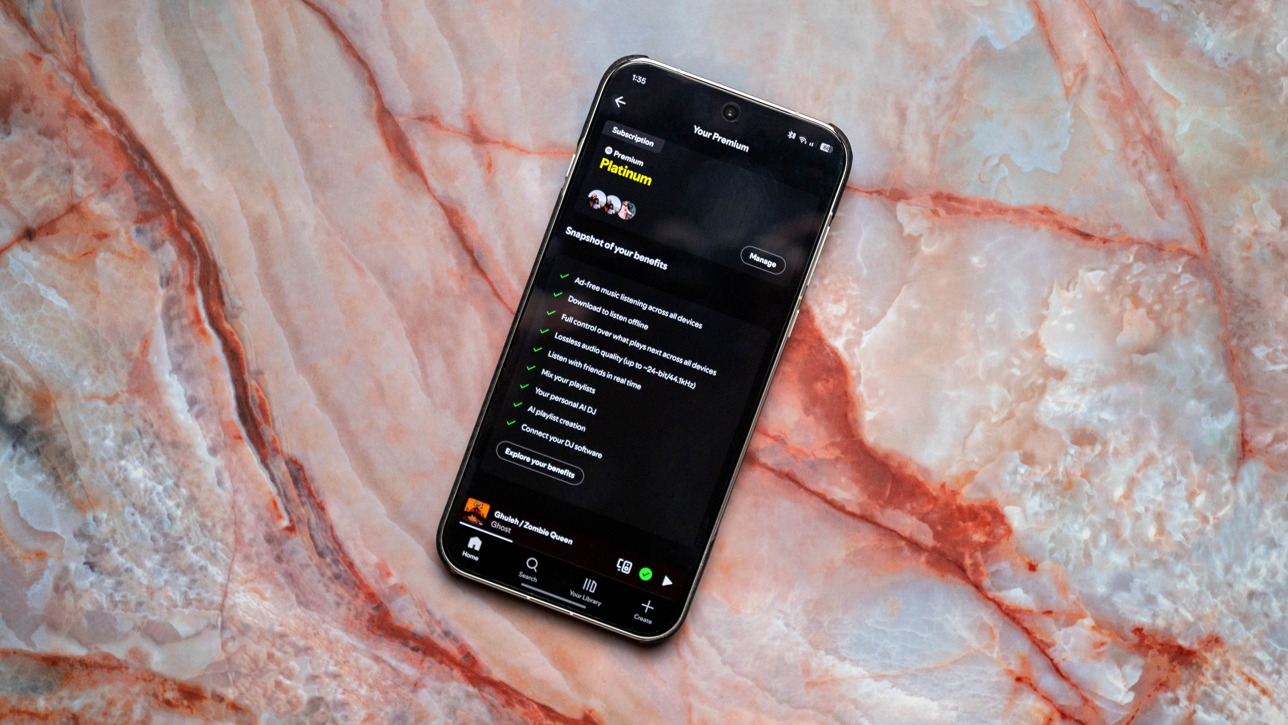 Spotify Premium Platinum plan details in India