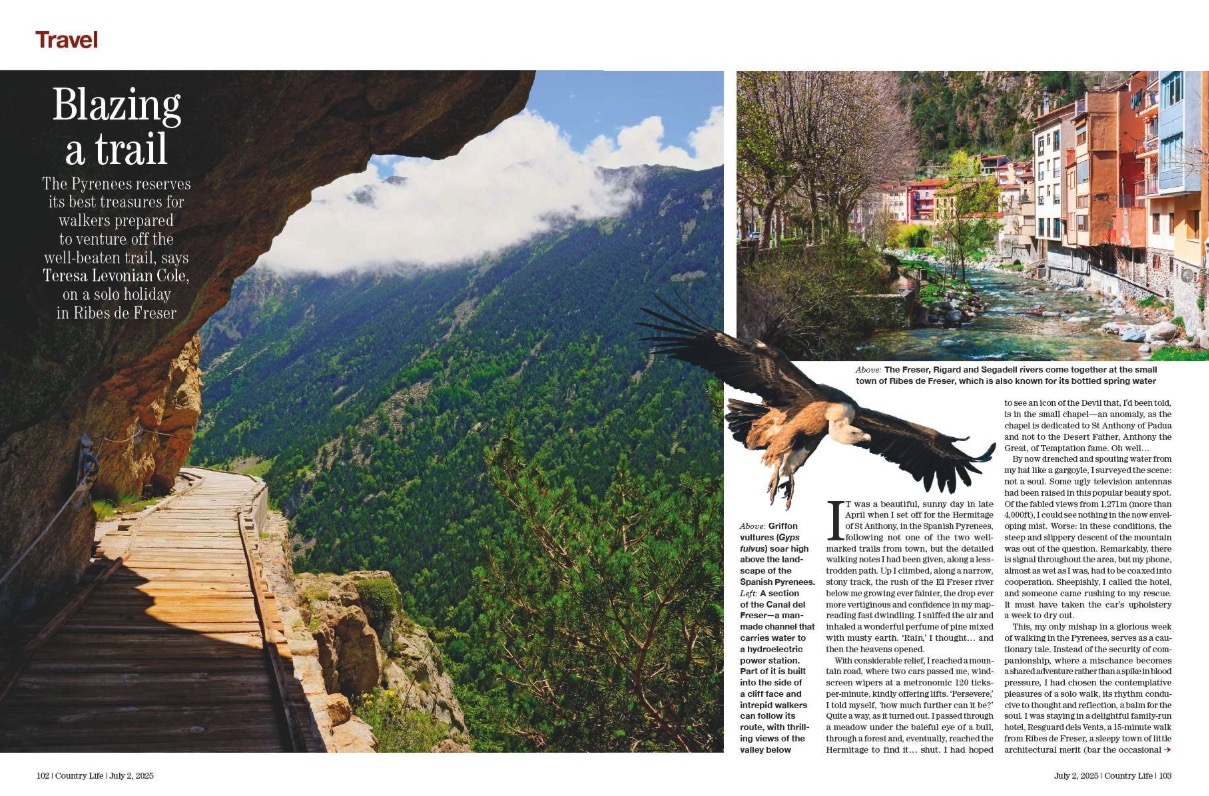Spreads from Country Life 2 July 2025