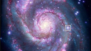 This image of the Whirlpool Galaxy M51 shows the location of a potential exoplanet in another galaxy. This image is a combination of views from the Hubble Space Telescope and Chandra X-ray Space Telescope.